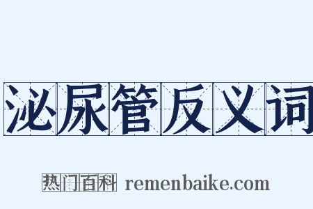 泌尿管反义词是什么意思的图片
